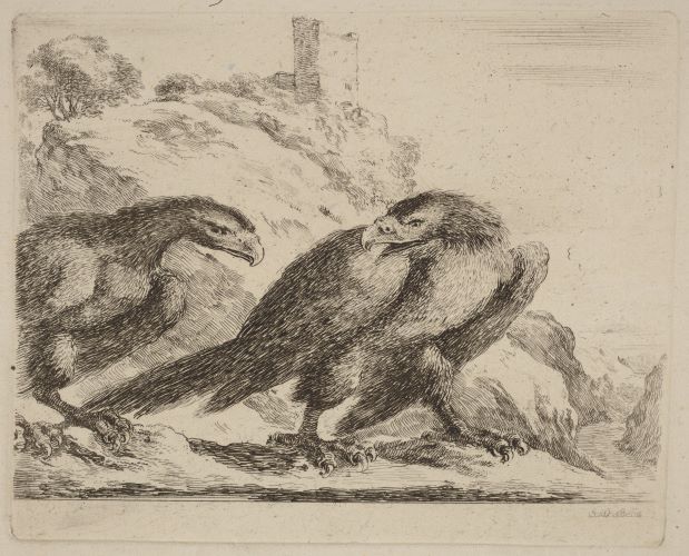 Two Eagles with Tower in Background, a sketch by Stefano Della Bella, 1600s. Two eagles stand looking at each other, and a stone tower sits on a hill. The perspective makes the birds appear very large.
