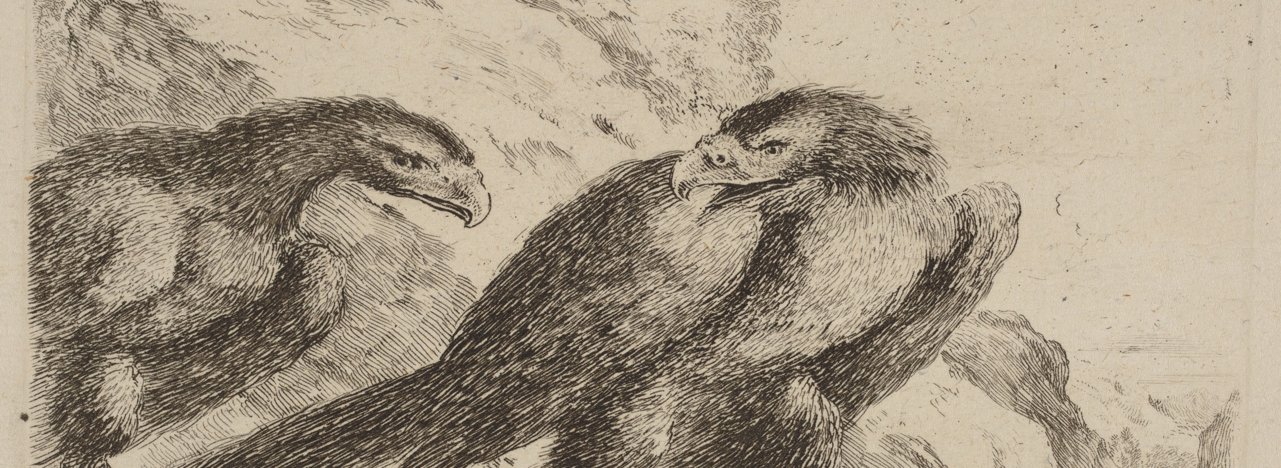 Two Eagles with Tower in Background, a sketch by Stefano Della Bella, 1600s. Two eagles stand looking at each other, and a stone tower sits on a hill. The perspective makes the birds appear very large.